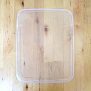 c(Nodahoro) ۑe Ŵ V[W p^ N^O ^ LTCYp zCgV[Y { SFA-L