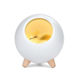 L CeACg xbhTCh fXN ؍ [d O tBMA fBXvC (zCg)