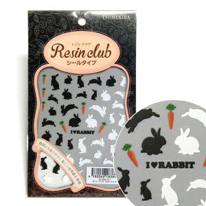 yWNuzCOJg VGbg yʁz UVWpV[p[c RC-RAB-101 mN