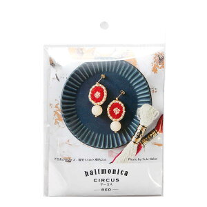 haitmonika hJsAXLbg T[JX bh PHC-062-1