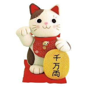 IpXN pb`[NLbg ʂ XL PA565