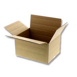 �w�C�R�[�ώ��_���{�[�� A5�p#2123015 20��