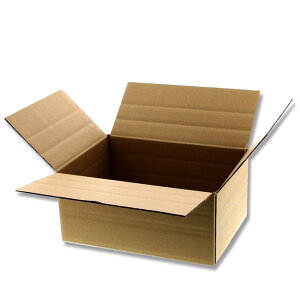 �w�C�R�[�ώ��_���{�[�� B5�p#2123014 20��