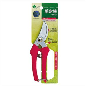 WXe g₷oT~  180mm 811812