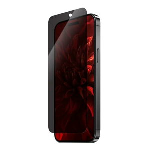 LEPLUS NEXT iPhone 15 �K���X�t�B���� GLASS PREMIUM FILM �`�����h�~180° LN-IX23FGN