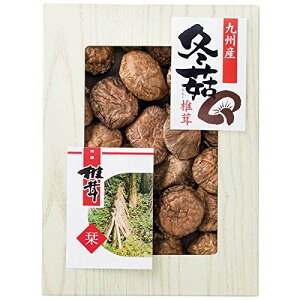 ��B�Y���؂ǂ񂱒ő� 2867-031