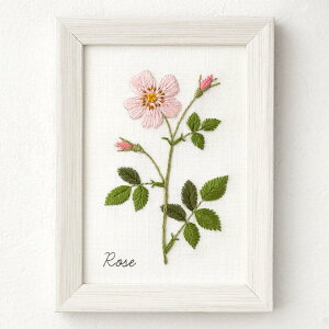 LECIEN(VA) hイLbg wؘaq12̐A蒟 [Yx cosmo (RX) 10×13.6cm 542006