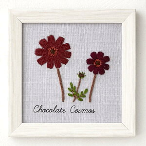 LECIEN(VA) hイLbg wؘaq12̐A蒟 `R[gRXXx cosmo (RX) 11.7×11.7cm 542011