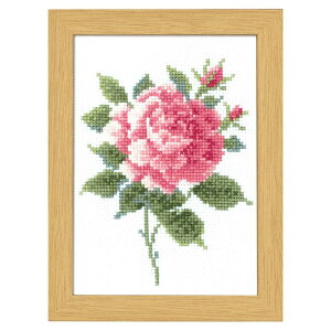 IpXN(Olympus Thred) 12̉ԃt[ 5sN[Y zOa:15×20cm OLY-K7511