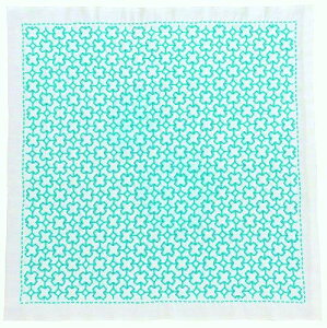 IpXN hqLbg ڎh̉Ԃӂ NXȂ SK-316