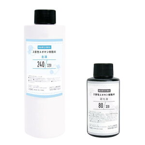 ERUBERU Gx[ Wt wH킪 2tG|LVIII v320g RS-699x