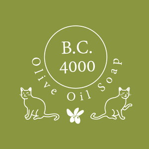 B.C.4000 ybgp  lbgt  L Vv[ Y Ō`Ό I[KjbN VRR 100g
