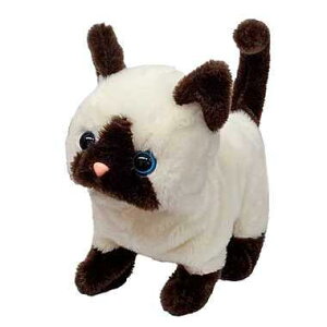 C(IWAYA) sbR[l V ʂ L̂ʂ ̃_Ch ST擾ς CL 90×160×s180mm3327-4