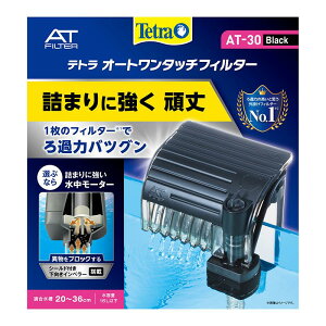 eg I[g^b`tB^[AT]30 - - -