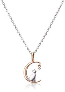 Pure AM[Ή mAM[ XeX lbNX y_g L lR _Ch NPN-001