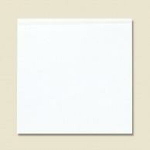 VW} Ntg wCR[ o[K[ 18 n 100  004738209