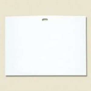 VW} wCR[ 񂰑 rj[ HD| LL-2 V 100x73cm 20 006659000