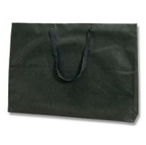 wCR[ 񂰑 t@bVobO sDz  60x10x42cm 10 008738802
