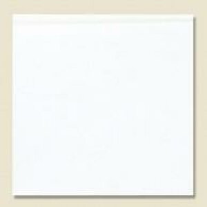 VW} Ntg wCR[ o[K[ L 500  004738252