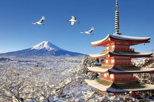 ̂܂(Yanoman) y{z 1000s[X WO\[pY ߕ~iF̕xmR(R) (50x75cm) 10-1481 ̂t wt s[X͂t