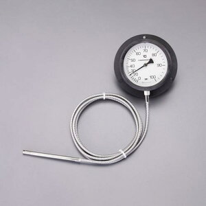 �G�X�R(ESCO) �u�����x�v 0-100°C/��110mm EA727-22