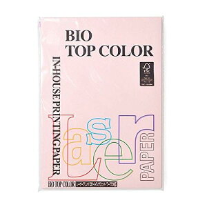 oCIgbvJ[ t~S A4/80O 100P