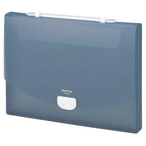 ZLZC hLgt@C vCO 2EFCP[X A4 O[ AP-952