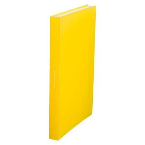 r[g Fine-Be XbgCt@C A4 iJA3[j 24|Pbg CG[ FIN-A4-24CY