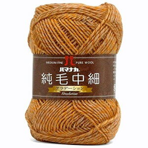 H~ю wђ(Of[V) 110ԐFx Hamanaka n}iJ