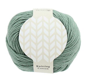 DARUMA ҂ݖю jbeBORbg  COL. 15 u[O[  50g 100m 3100