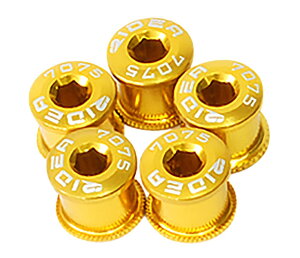 RIDEA(���f�A) TQXG-R8 Chainring Screw for Double 8mm �S�[���h