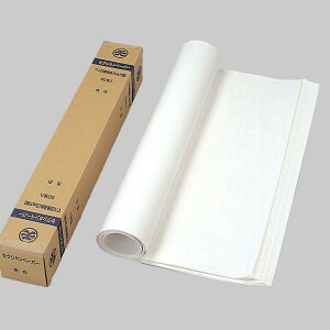 GqH S[N }Xړ͑#70 ZNVy[p[ SEC-0050 1091×788mm 50 