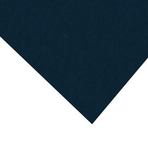 }[Ch l 542×291mm 10g PF 