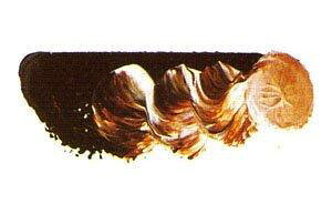 �}�c�_ �X�[�p�[���G�� 6�� 20ml 1603 �o�[���g�V�F���i�[