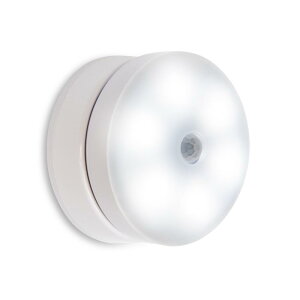 yANTEL [dpxiCgCg(F)z iCgCg ÐlZT[ _ F px\ 60[ 8cm Type-C[dłdrłgpł orʃe[vŎt