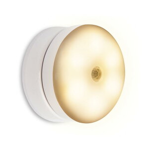 yANTEL [dpxiCgCg(dF)z iCgCg ÐlZT[ _ dF px\ 60[ 8cm Type-C[dłdrłgpł orʃe[vŎt