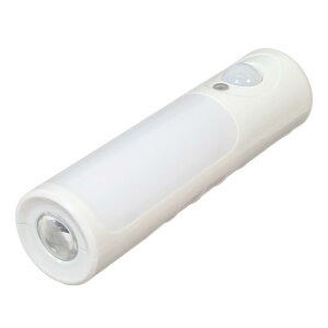 Gp (ELPA) LEDZT[tCg LEDCg d dr PM-L256
