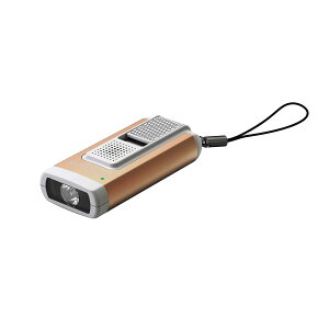 Ledlenser(���b�h�����U�[) LED�L�[���C�g K6R Safety �S�[���h USB�[�d�� 502581 [���{���K�i]