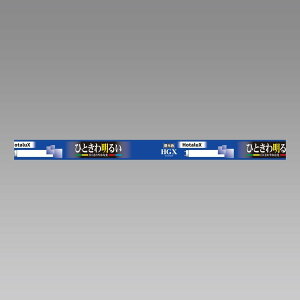 �z�^���N�X FL10EX-D-X2 �����F