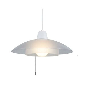 SWAN PE SERIES y_gCg |V[O ȒPt R[hStbNt zCg×NA 1500lm 3000K PE-313CL