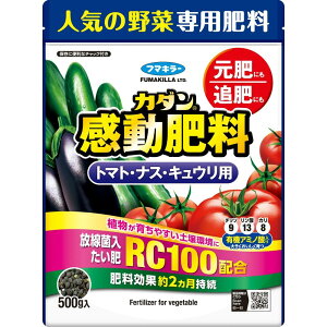 �t�}�L���[ �엿 �J�_�������엿�g�}�g�E�i�X�E�L���E���p 500g RC100�z�� �A�����炿�₷���y�����