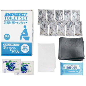 GsIX ЊQ΍gCZbg10 TM20