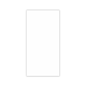 千円型 柾のし袋 白無地