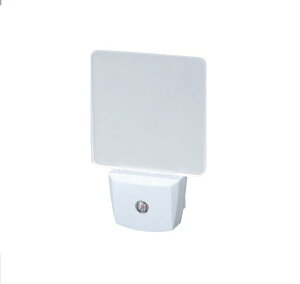 �i�C�g�����v C6142556