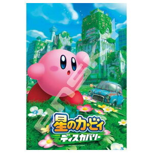 WO\[pY ̃J[rB fBXJo[ 300s[X (300-1970)