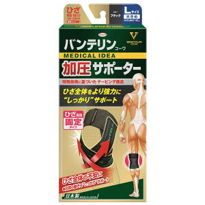 oeR[T|[^[ ЂpŒ^Cv 傫 ubN