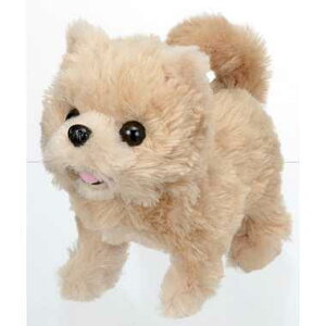 C(IWAYA) sbR[l |jA drœʂ 3324-1