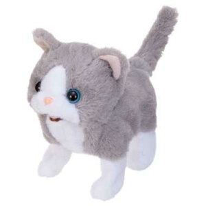 C(IWAYA) sbR[l ueBbV drœʂ 3327-2