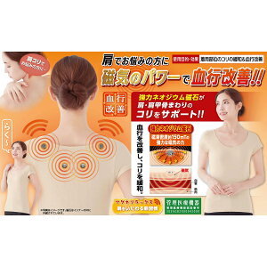 }OlbNXsPCi[ p fB[X LL(2L)