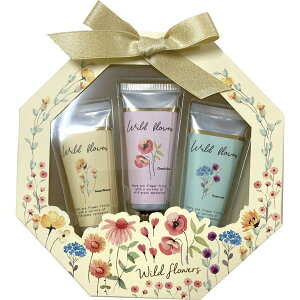 R[WJpj[ XyVPAMtg Cht[YE W160×D27×H160mm 172313